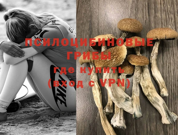 прущая мука Алексеевка