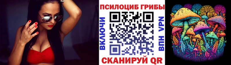 Псилоцибиновые грибы Cubensis  Беломорск 